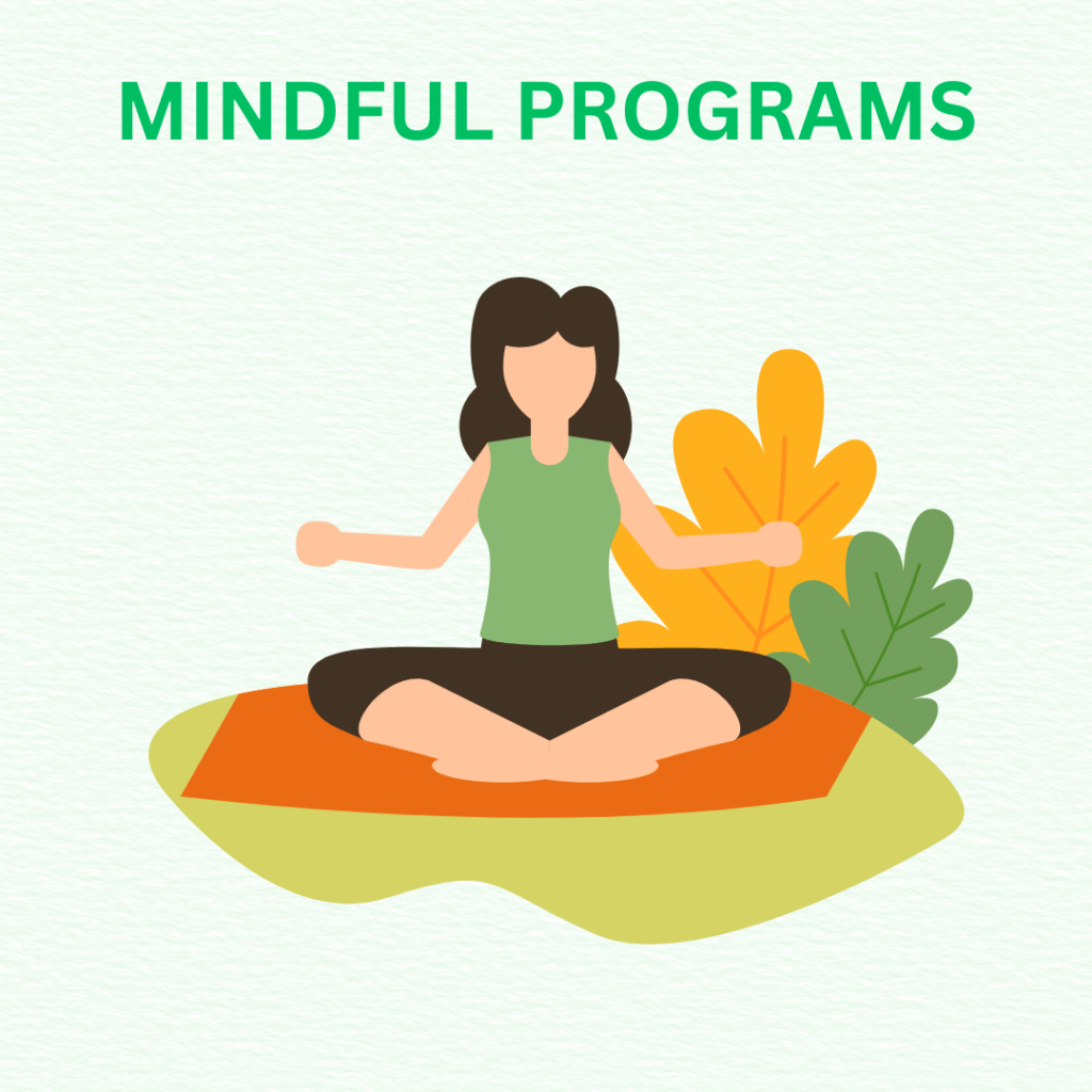 mindful programs